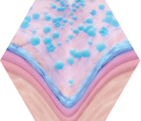 neoboemi_Wirkphase_2 neoboemi_Wirkphase_2